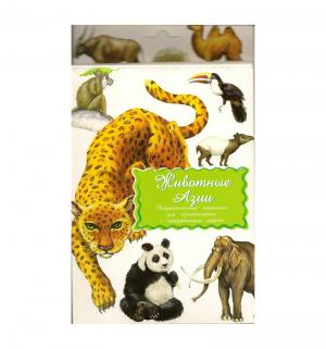 Дидактические карточки  Животные Азии Маленький гений