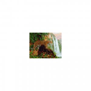 Холст с красками по номерам Леопард у водопада 40х50 см Издательство Рыжий кот