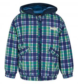 Куртка  Денди, цвет: синий/зеленый Даримир