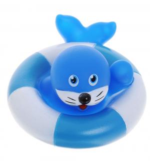 Игрушка для ванны  Зверюшк морской котик, 5 х 6 см Canpol