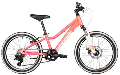 Велосипед двухколесный  Fiona Kid 20 рама 10 Stinger