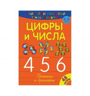 Обучающая книга  Цифры и числа 456 4+ ND Play