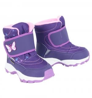 Ботинки , цвет: фиолетовый Twins